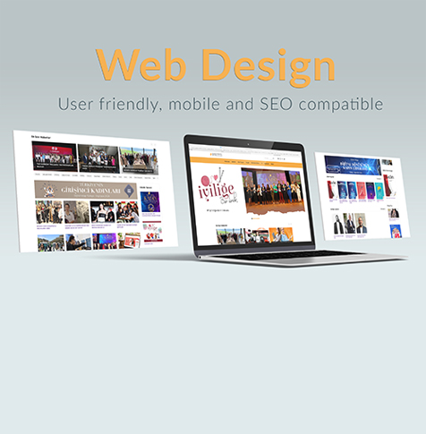 WEB DESIGN 1
